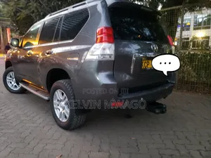 Toyota Land Cruiser 2010 Gray