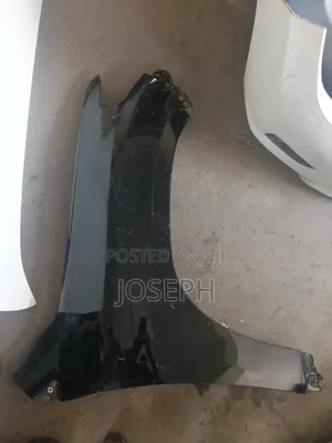 V8 200 Series 2010 Fender/Wing