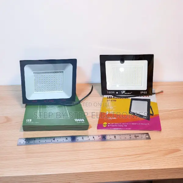Direct Supplier Prices 100W Watts AC Electric LED Flood Lights