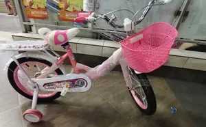 16 Inch Kids Bicycle Pink With Basket Training Wheels Girls Age 4-7