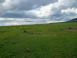 420 Acres in Laikipia East Next to Olpajeta Is Available for Sale