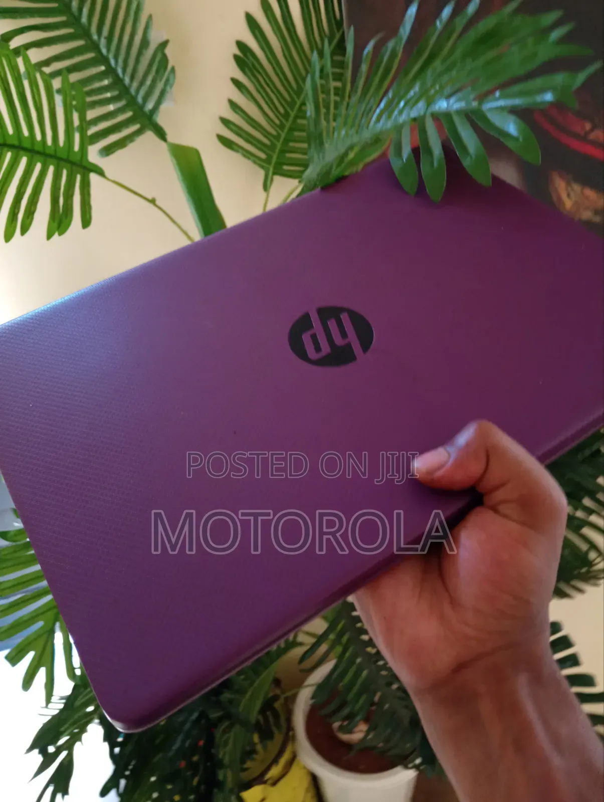 Laptop HP 14S 4GB AMD HDD+SSD 250GB