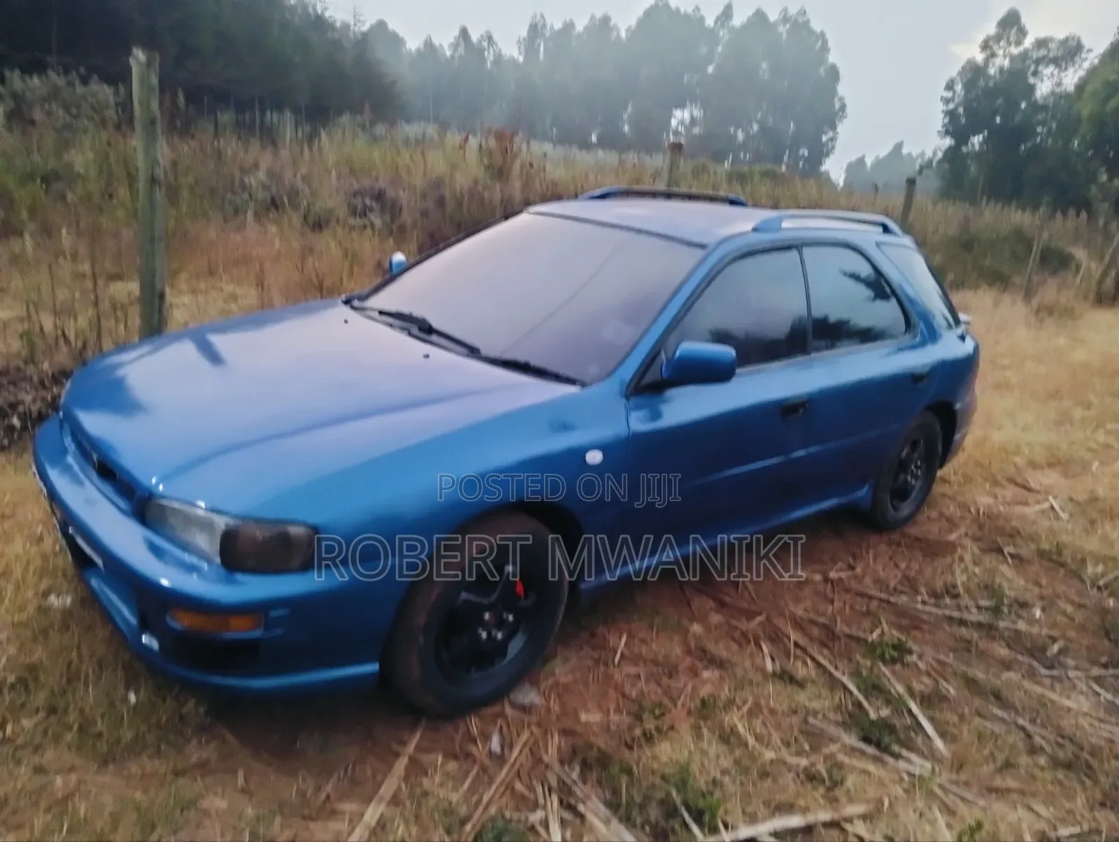 Subaru 1600 2000 Blue