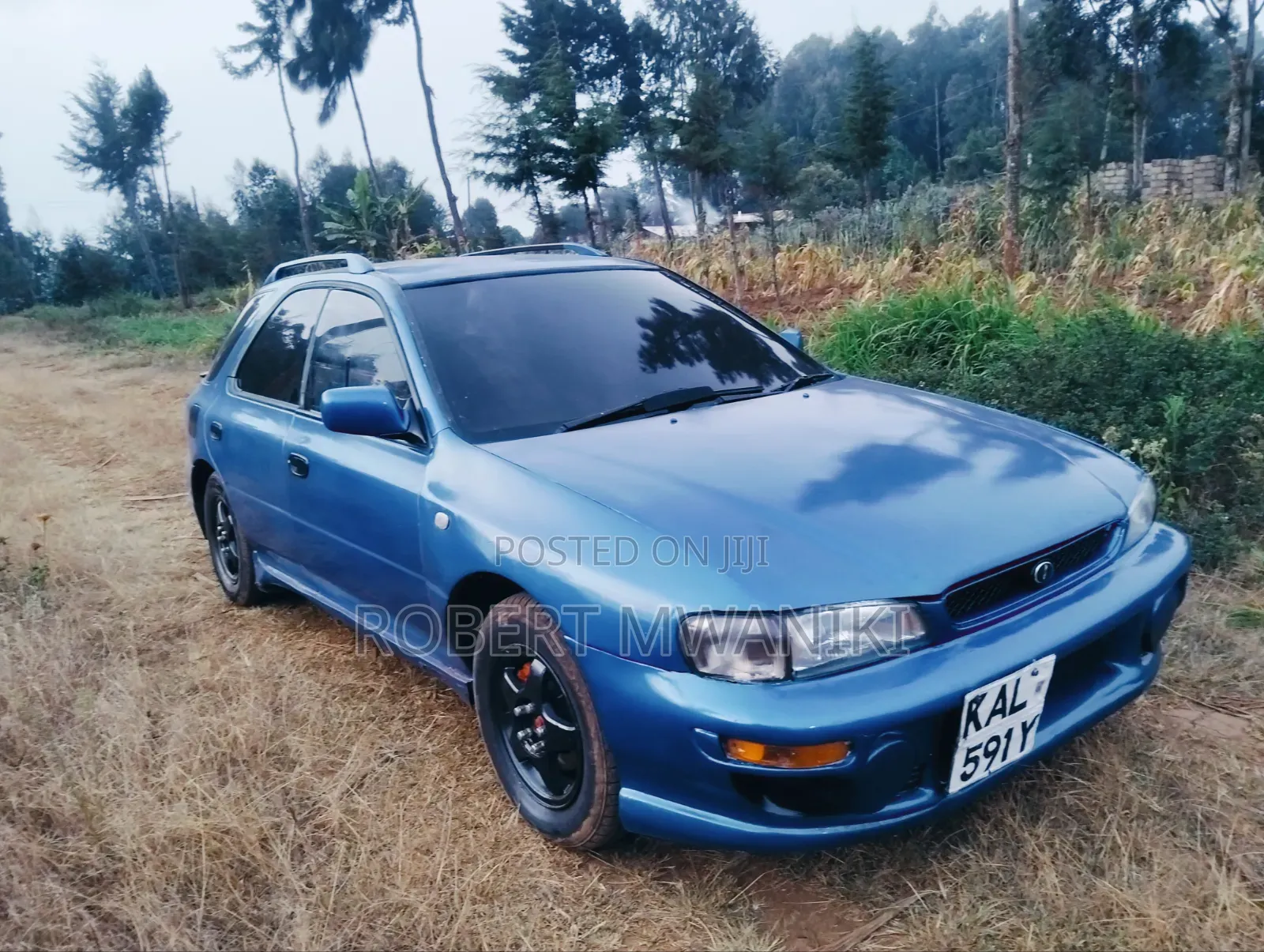 Subaru 1600 2000 Blue