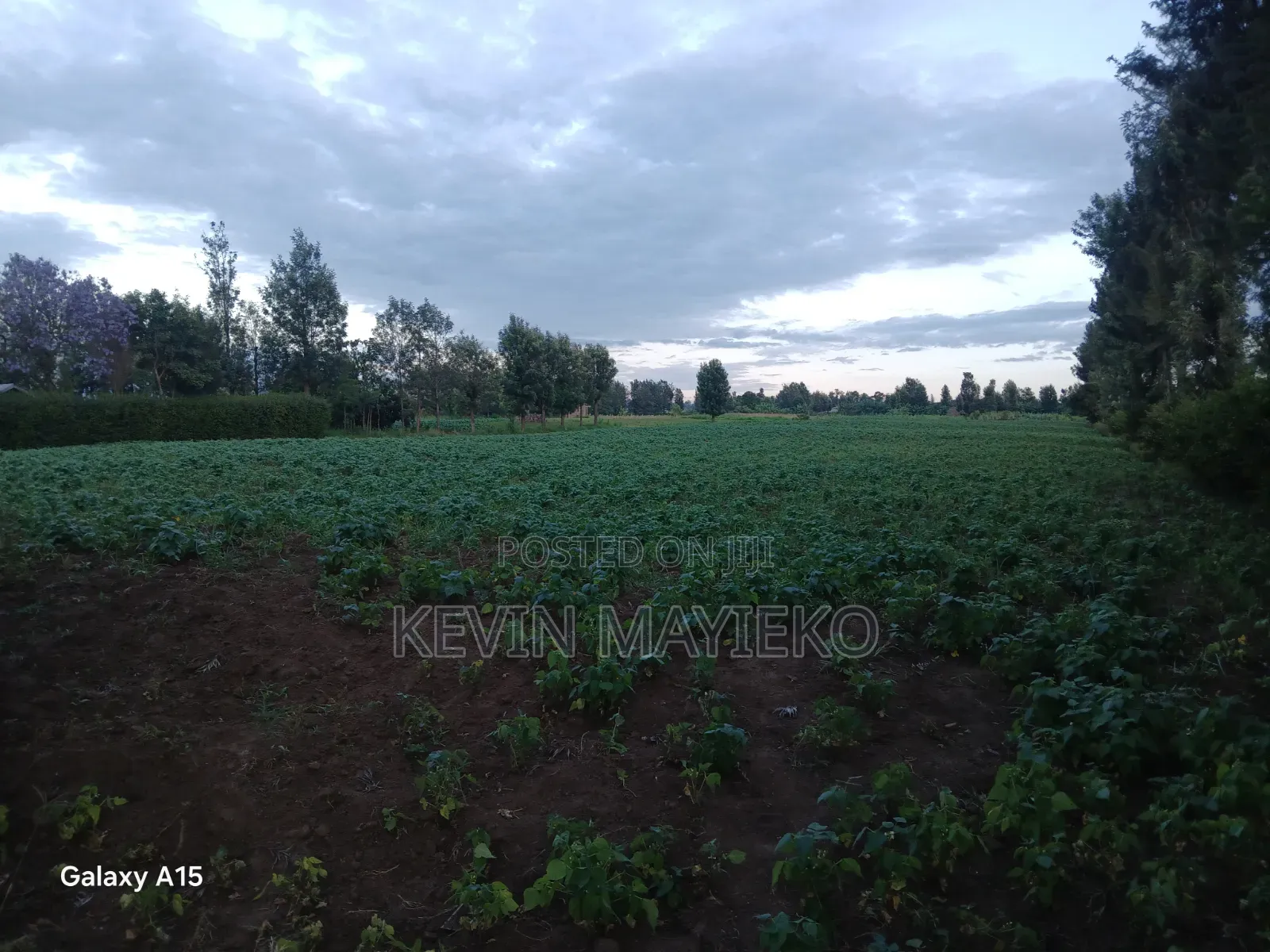 Land for Sale