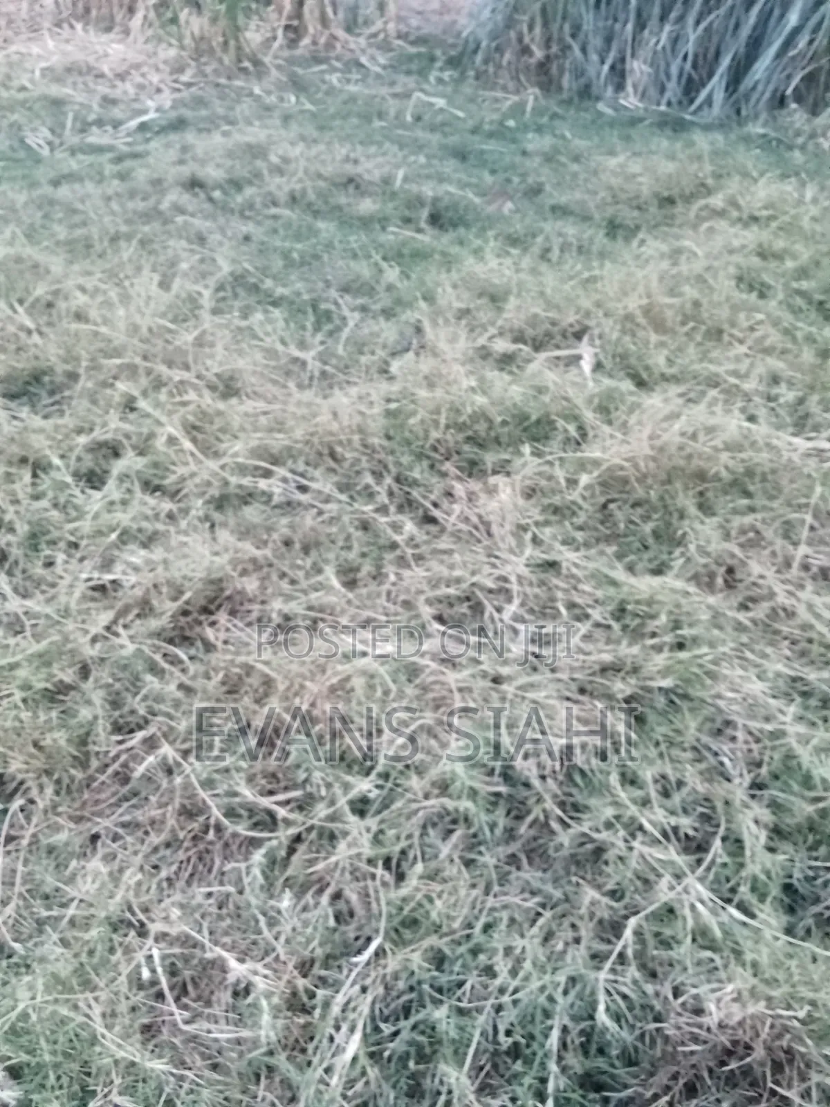 Plot for Sale Githurai 45