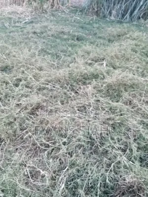 Plot for Sale Githurai 45