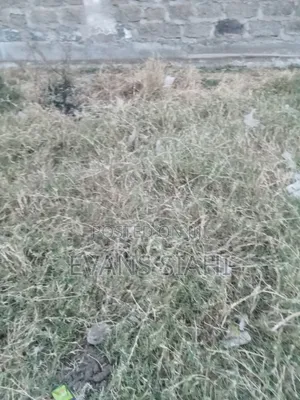 Plot for Sale Githurai 45