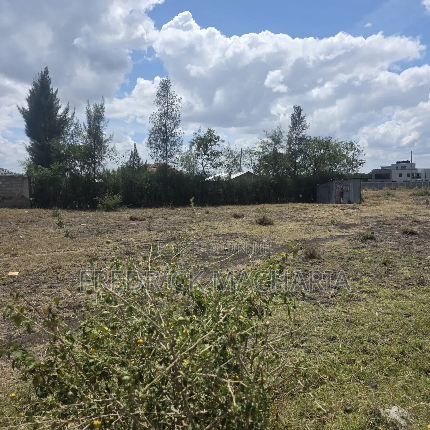 2 Adjacent Commercial Plots for Sale at Infinity