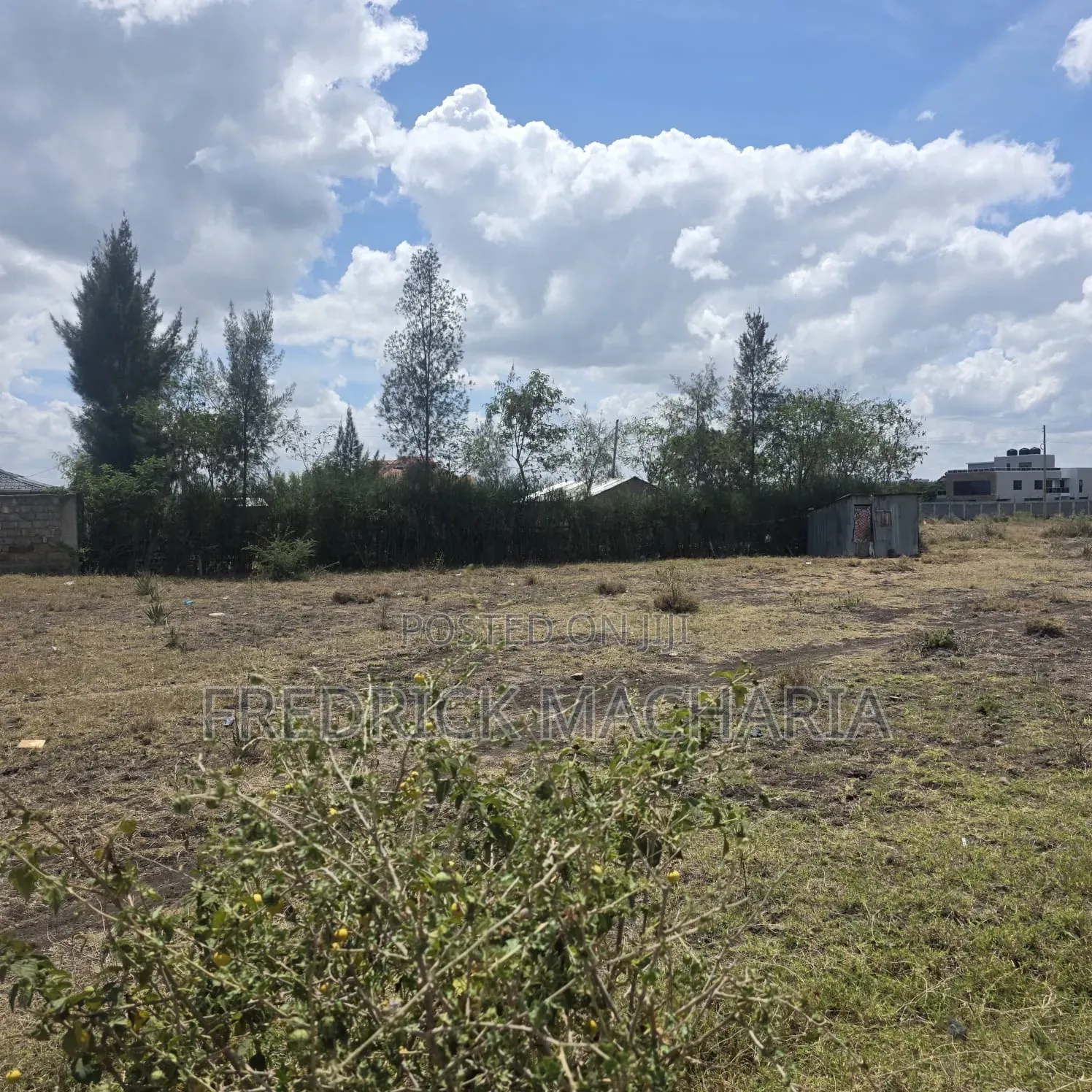 2 Adjacent Commercial Plots for Sale at Infinity