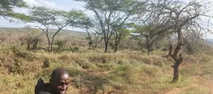 515 Acres for Sale at Bisil