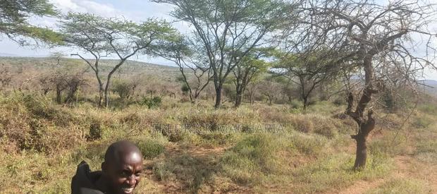 515 Acres for Sale at Bisil - thumbnail 3