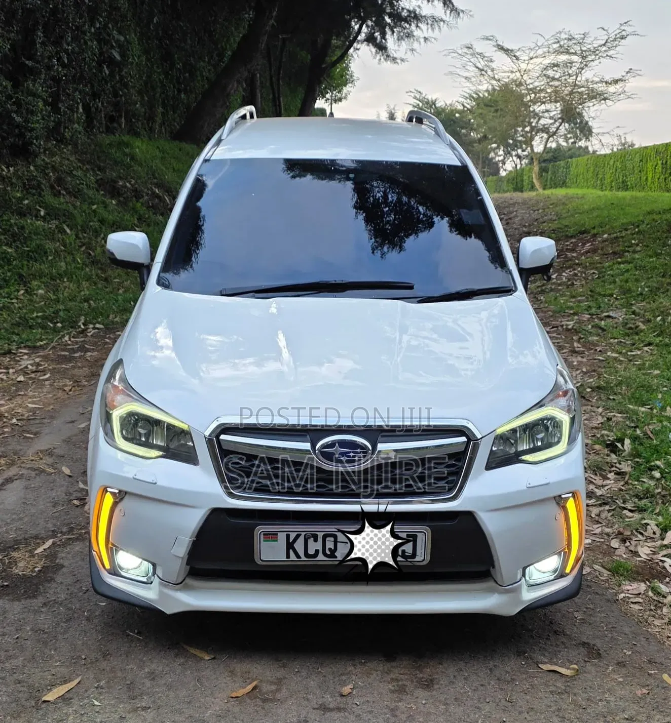 Subaru Forester 2013 Pearl