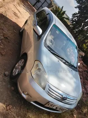 Toyota Raum 2007 Gray