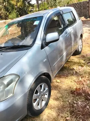 Toyota Raum 2007 Gray