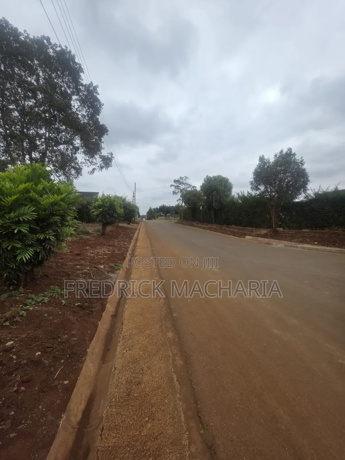 Quarter Acre Residential Plot for Sale Daykio Bustani
