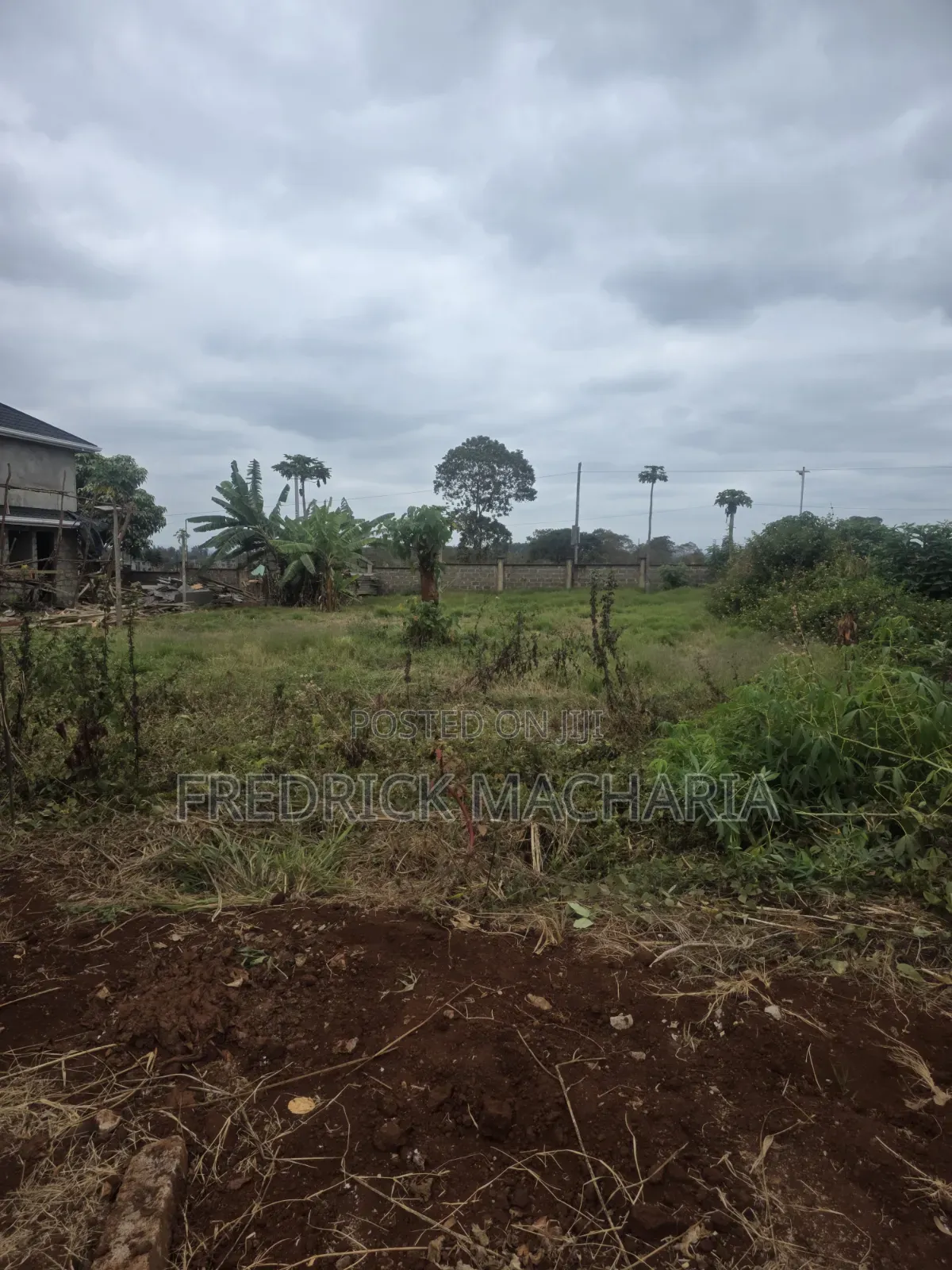 Quarter Acre Residential Plot for Sale Daykio Bustani