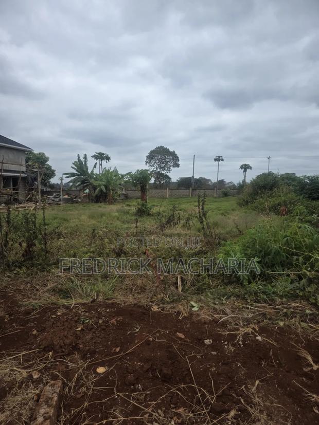 Quarter Acre Residential Plot for Sale Daykio Bustani - thumbnail 11