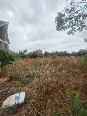 Quarter Acre Residential Plot for Sale at Daykio Bustani