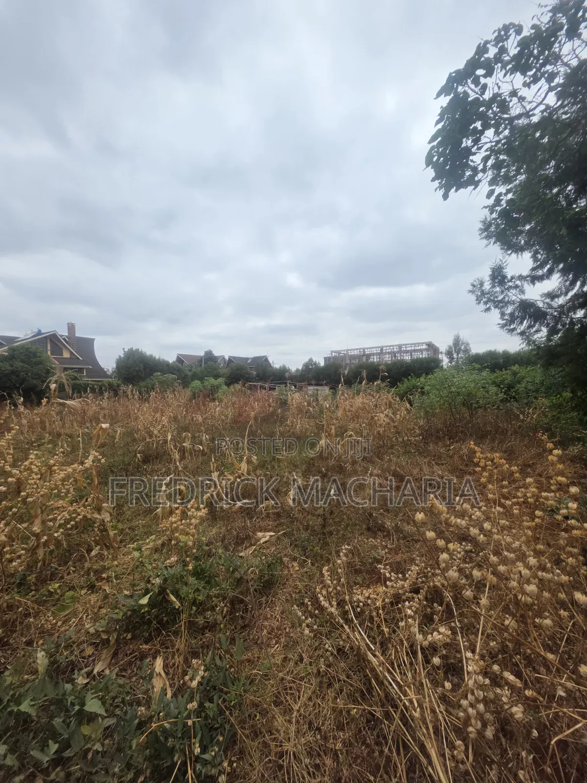 Quarter Acre Residential Plot for Sale at Daykio Bustani