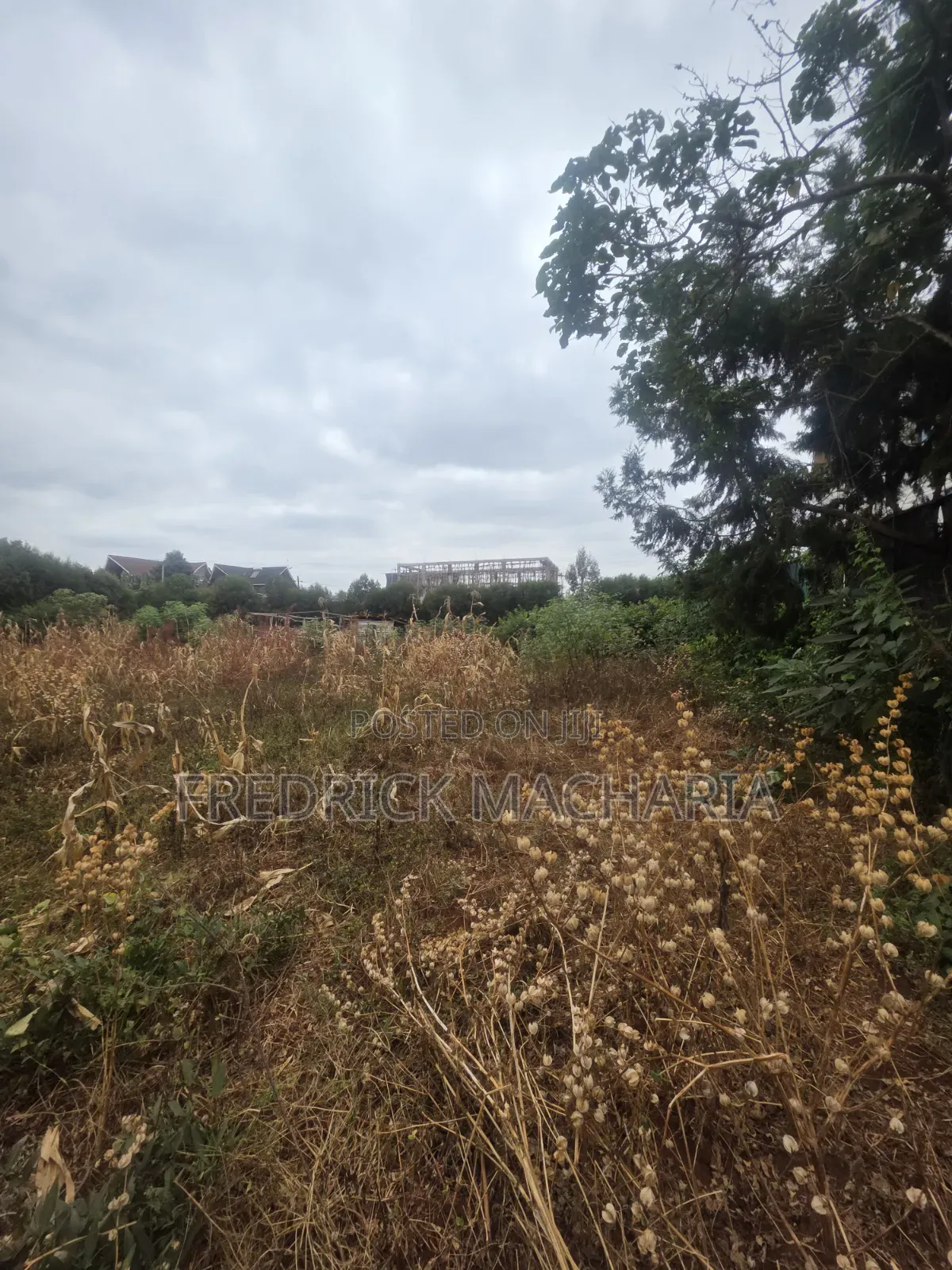 Quarter Acre Residential Plot for Sale at Daykio Bustani