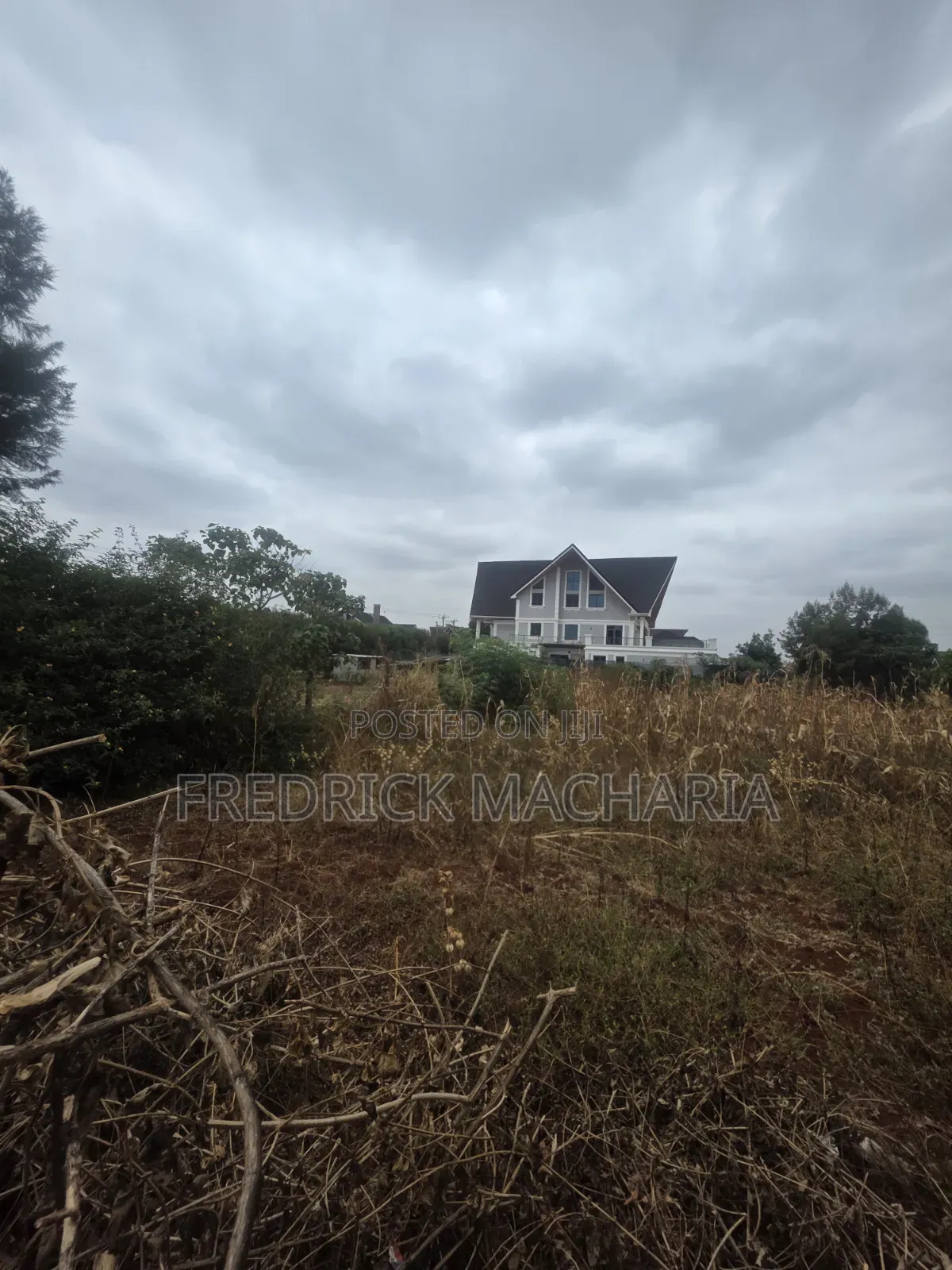 Quarter Acre Residential Plot for Sale at Daykio Bustani