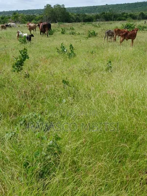 10 Acres Forsale in Kilifi Mavueni.