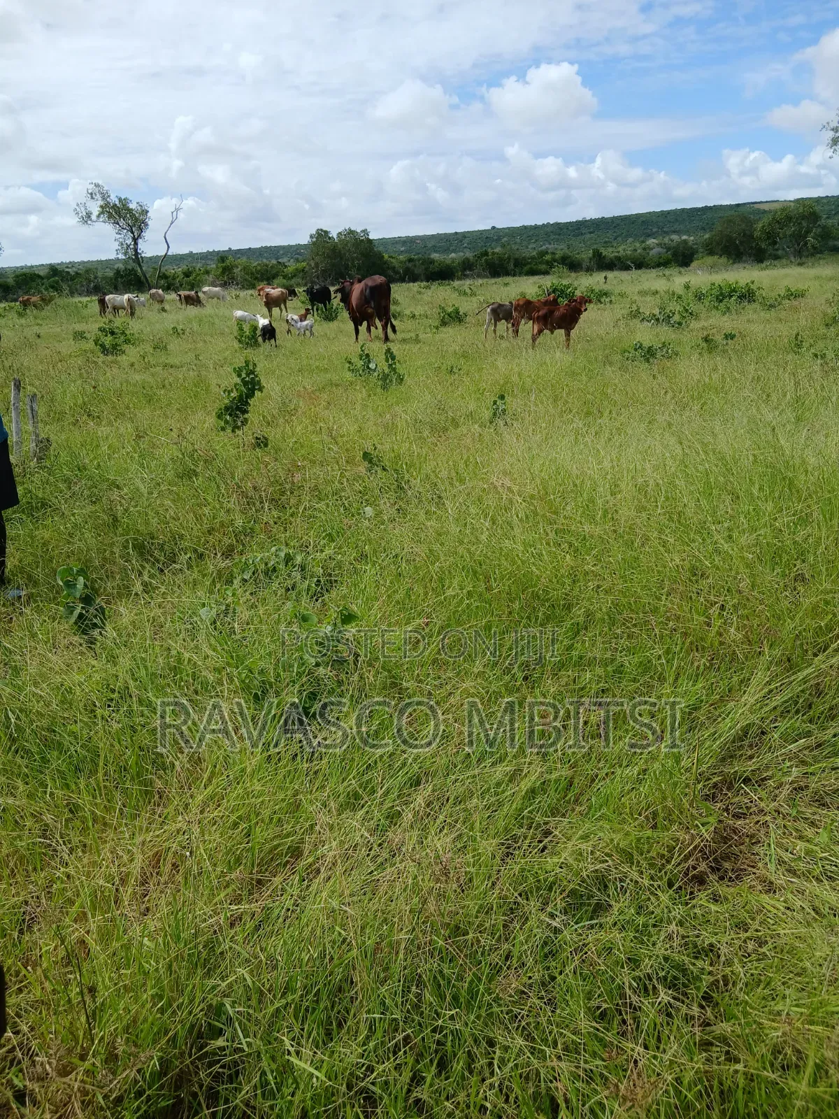 10 Acres Forsale in Kilifi Mavueni.