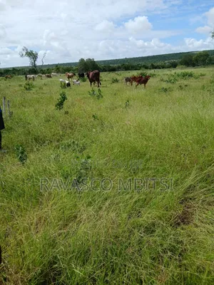 10 Acres Forsale in Kilifi Mavueni.
