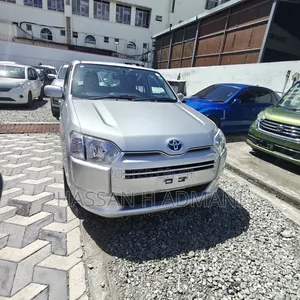 Toyota Probox 2020 Silver