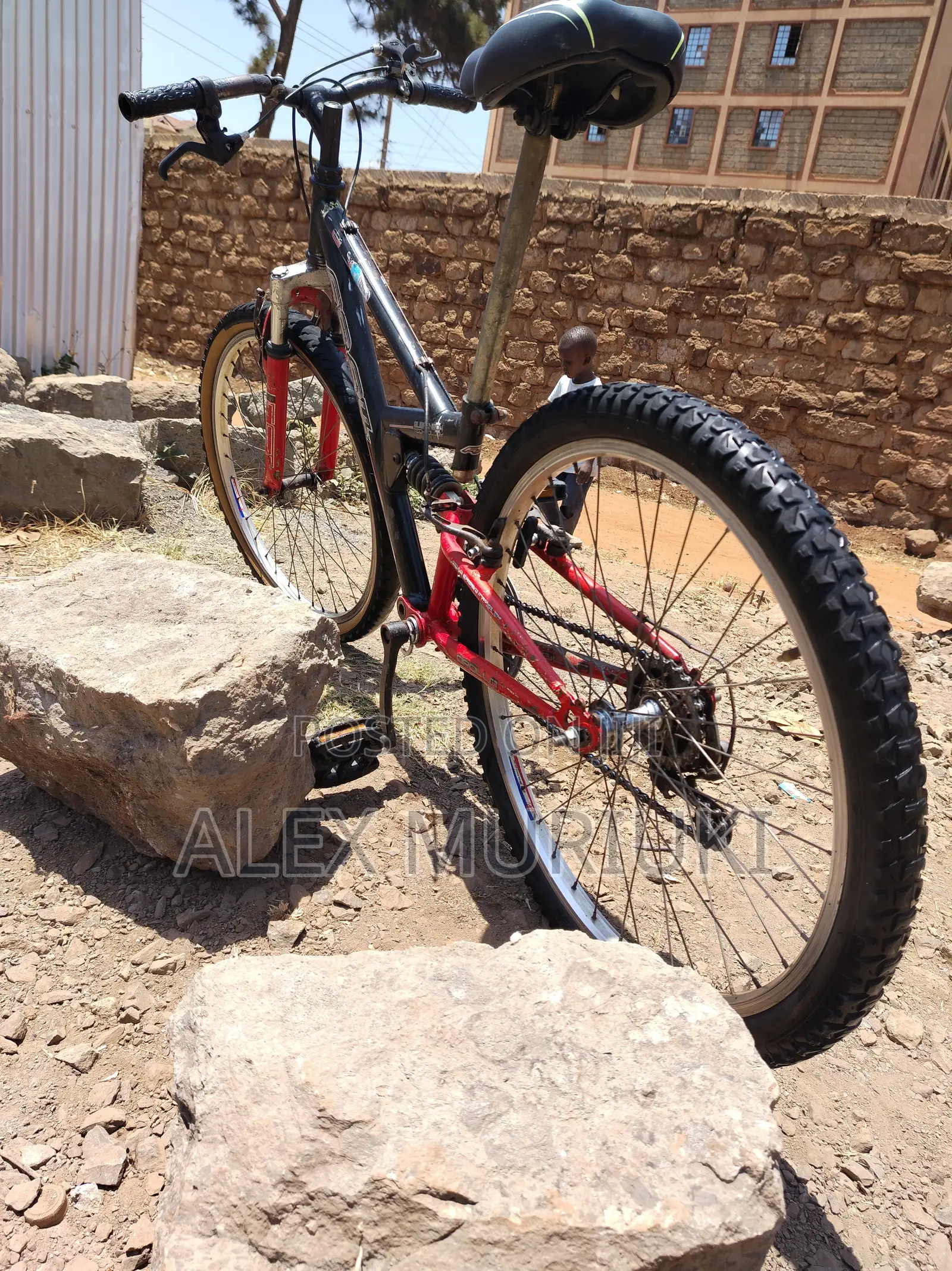 Mountain Bike