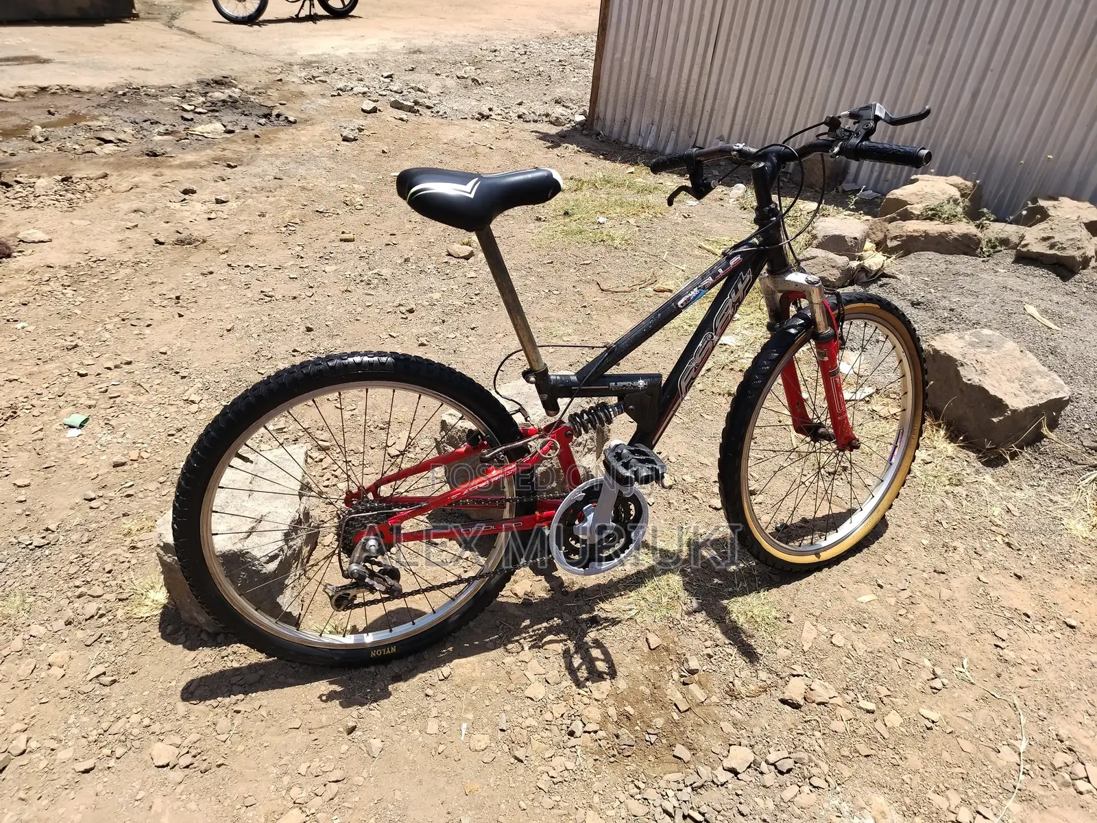 Mountain Bike
