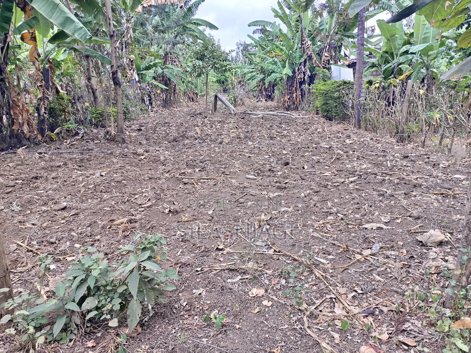 Land on Sale