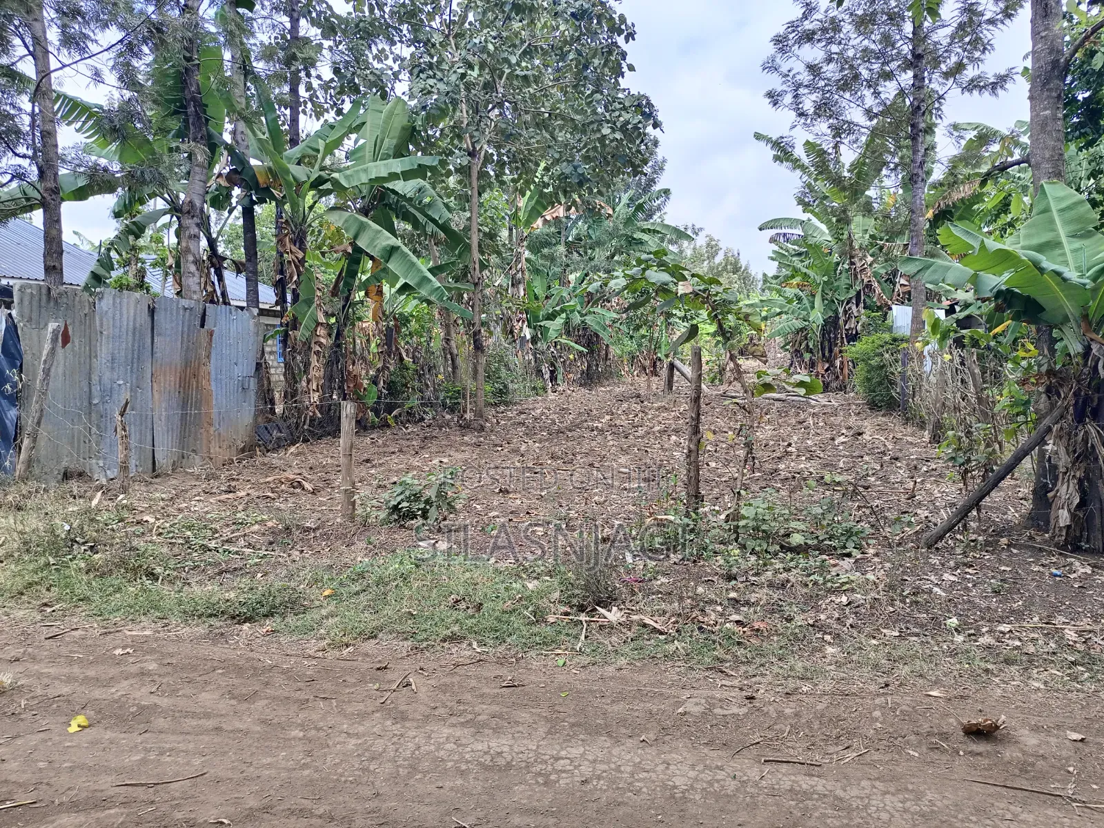 Land on Sale