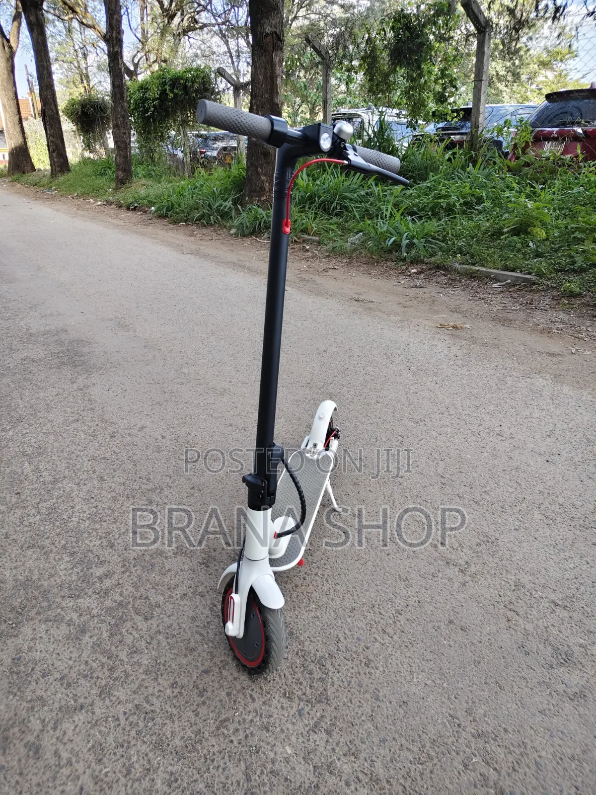 Electric Scooter Strong and Durable Quality Scooter