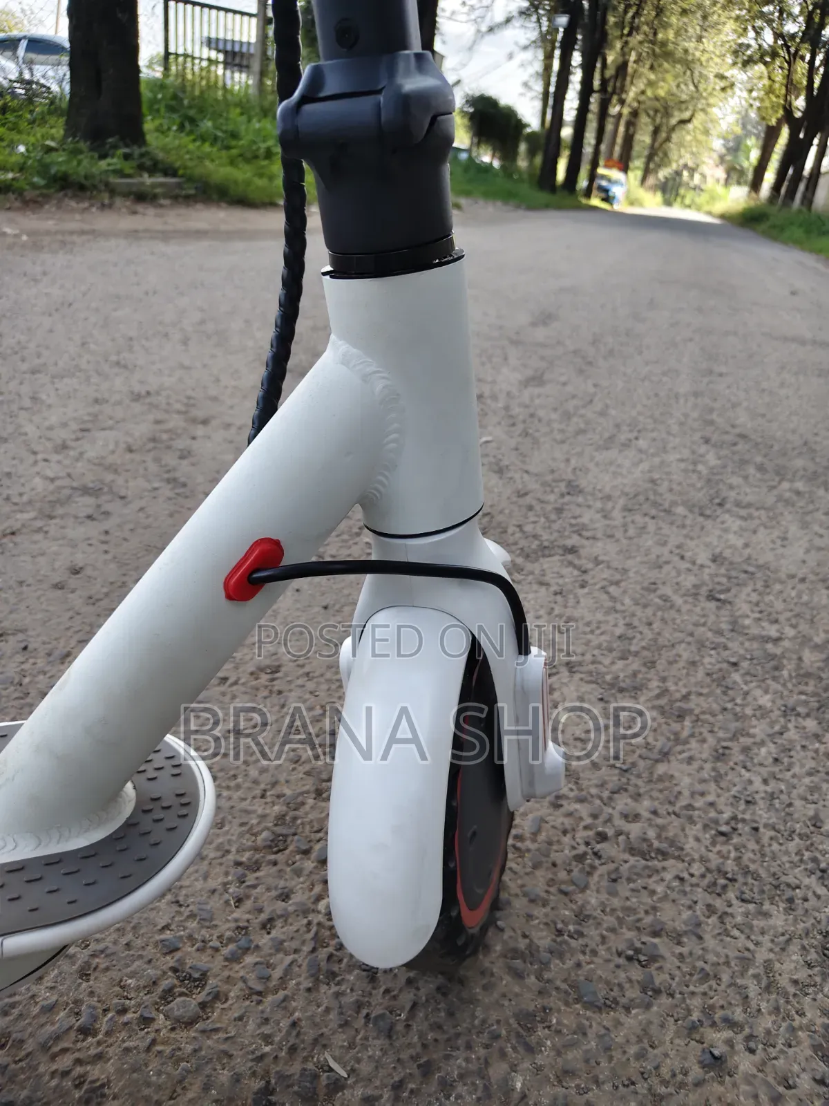 Electric Scooter Strong and Durable Quality Scooter