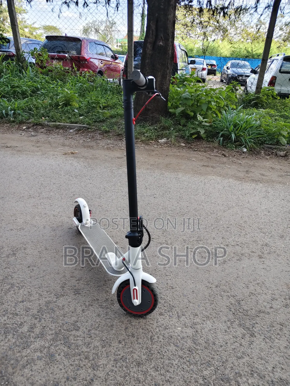 Electric Scooter Strong and Durable Quality Scooter