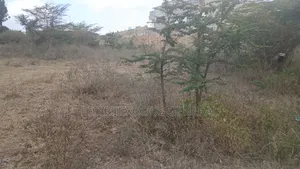 1/8 Plots for Sale in Ongata Rongai Nkoroi Kamura Oloika Road.