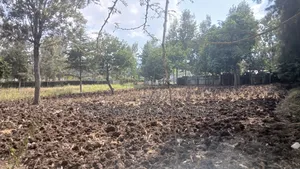 1/4 Plots for Sale in Ongata Rongai Nkoroi Kamura Oloika Road.