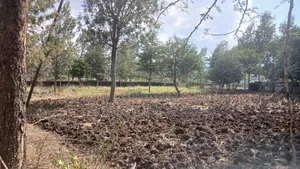 1/4 Plots for Sale in Ongata Rongai Nkoroi Kamura Oloika Road.