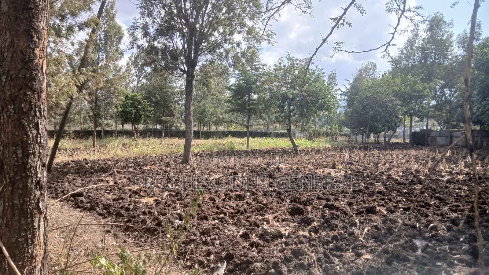 1/4 Plots for Sale in Ongata Rongai Nkoroi Kamura Oloika Road.