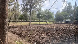 1/4 Plots for Sale in Ongata Rongai Nkoroi Kamura Oloika Road.