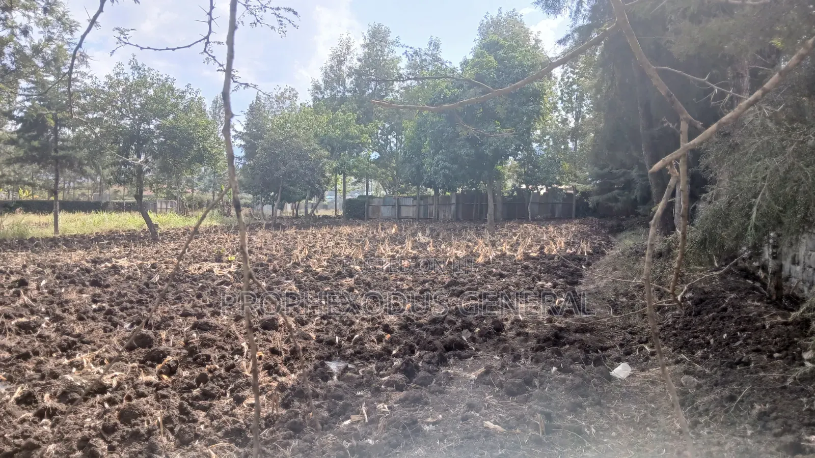 1/4 Plots for Sale in Ongata Rongai Nkoroi Kamura Oloika Road.