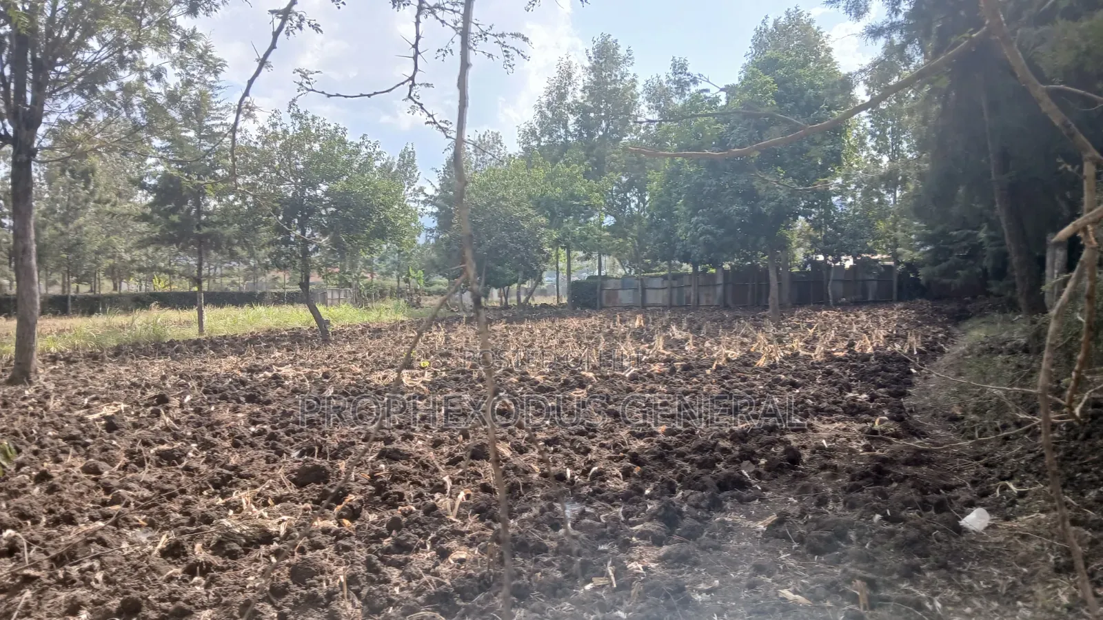 1/4 Plots for Sale in Ongata Rongai Nkoroi Kamura Oloika Road.