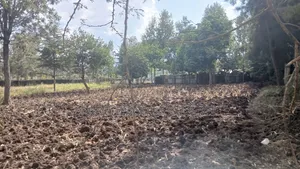 1/4 Plots for Sale in Ongata Rongai Nkoroi Kamura Oloika Road.