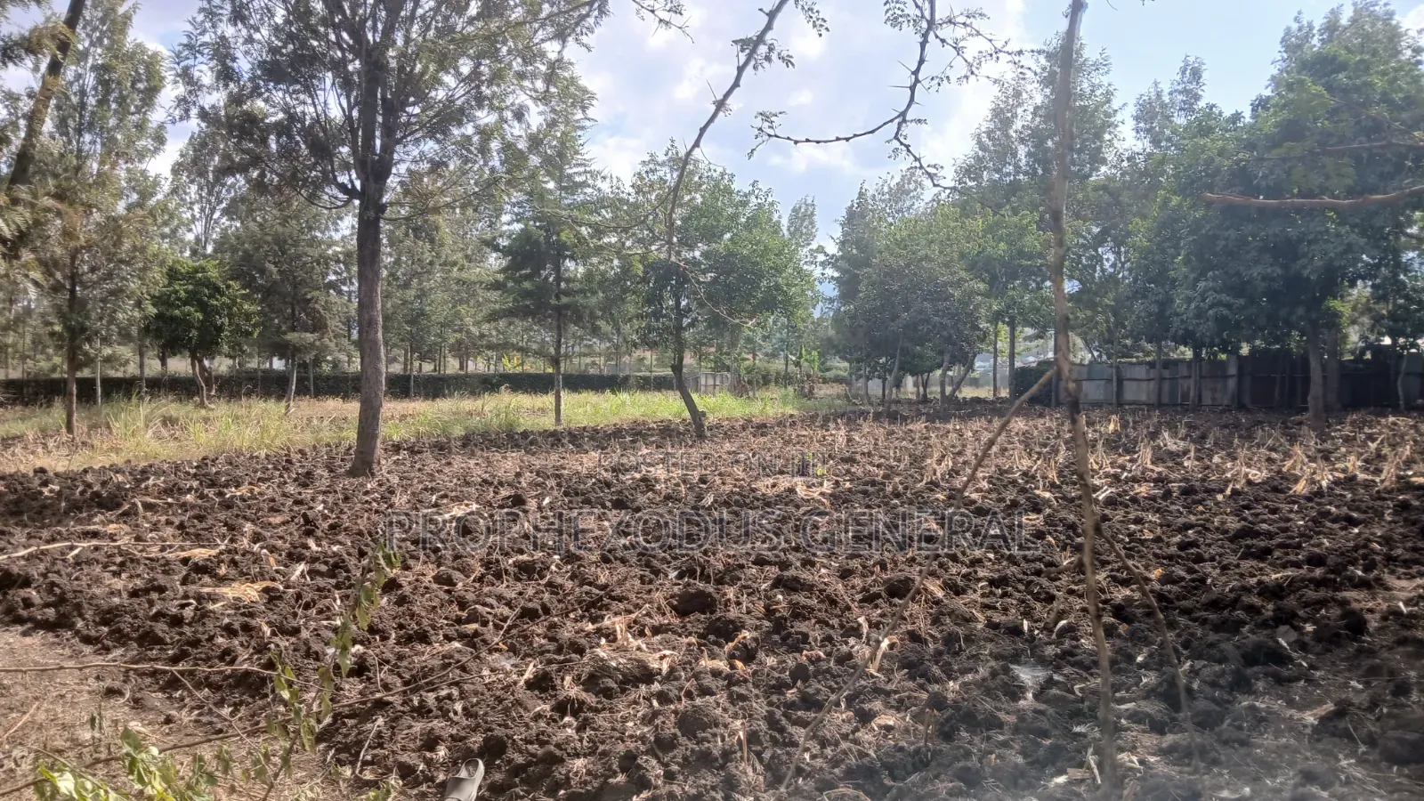 1/4 Plots for Sale in Ongata Rongai Nkoroi Kamura Oloika Road.
