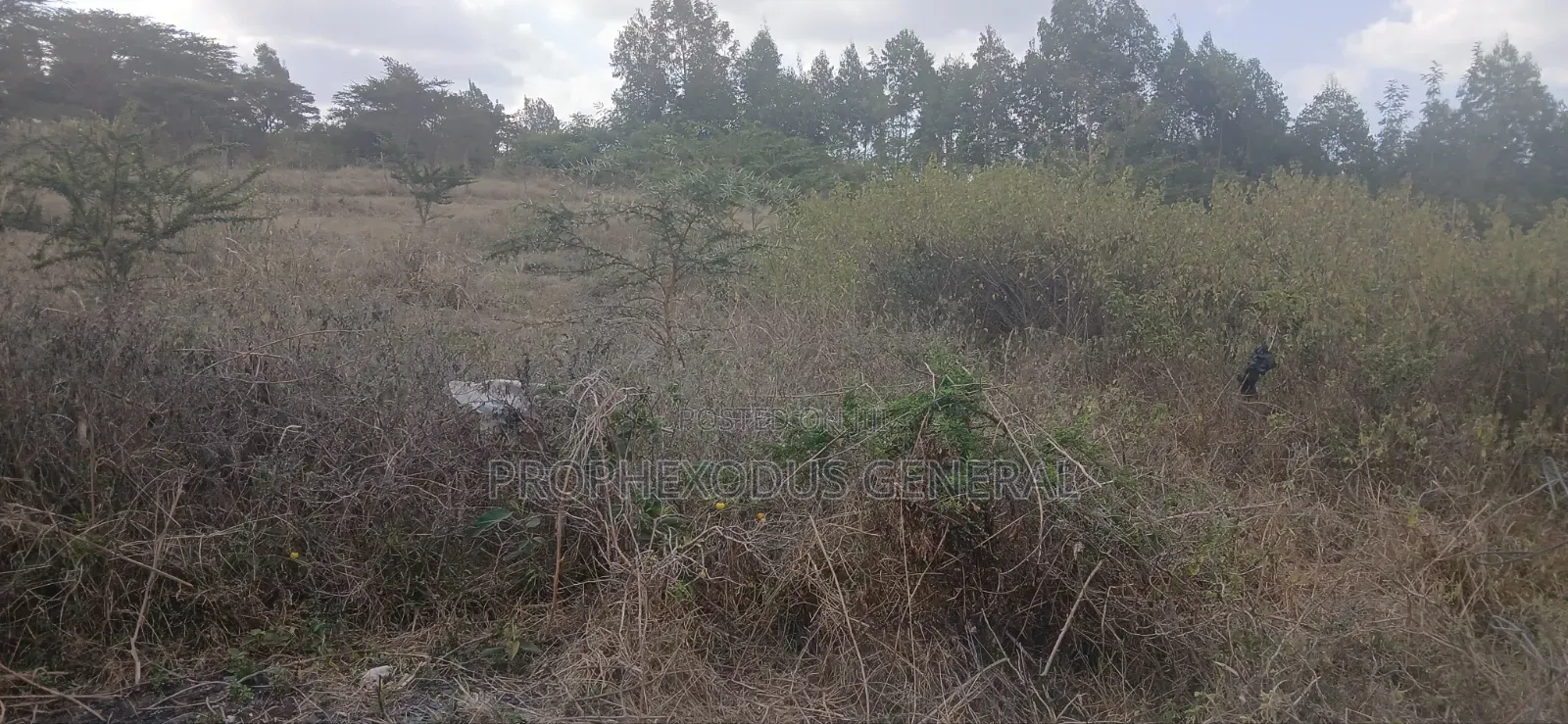 1/4 Plots for Sale in Ongata Rongai Nkoroi Kamura Oloika Road.