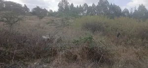 1/4 Plots for Sale in Ongata Rongai Nkoroi Kamura Oloika Road.