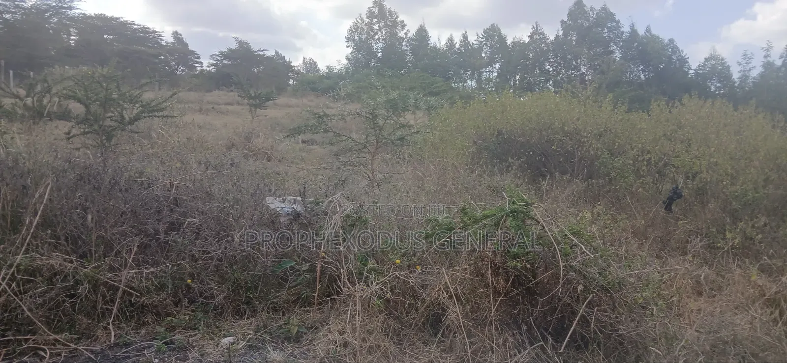 1/4 Plots for Sale in Ongata Rongai Nkoroi Kamura Oloika Road.