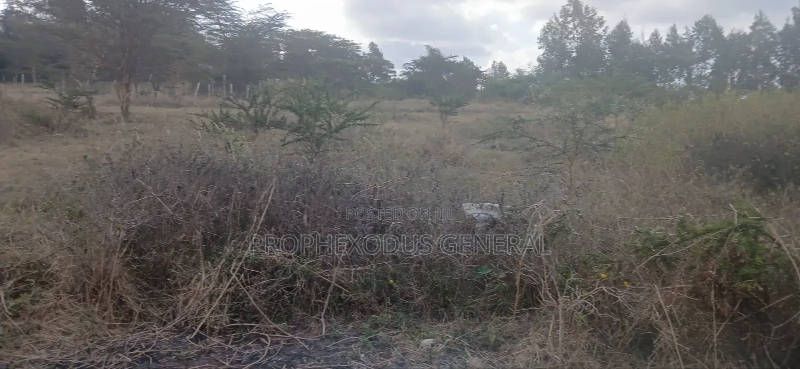 1/4 Plots for Sale in Ongata Rongai Nkoroi Kamura Oloika Road.